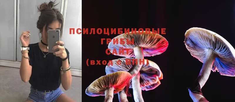 Псилоцибиновые грибы Magic Shrooms  Ишим 